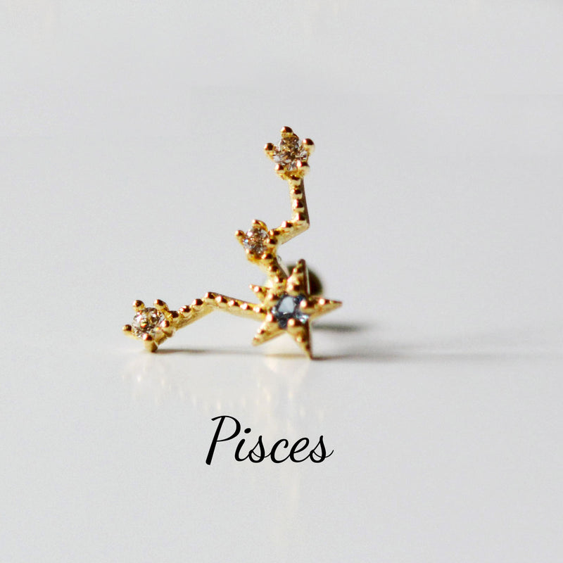 Constellation Zodiac Sign Barbell  14K Solid Gold Cartilage Earrings